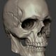 diggumsmack2 profile photo