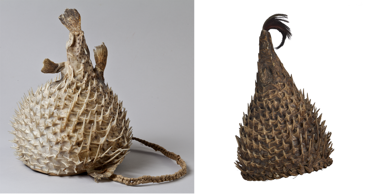 Puffer fish helmet, lined with pandanus leaves, including a braided pandanus-fiber chin strap (left). A <em>te barantauti</em>; in this design, the puffer fish's fins and tail have been removed, the latter replaced with a tuft of hair; rimmed with plaited plant fibers (right). 