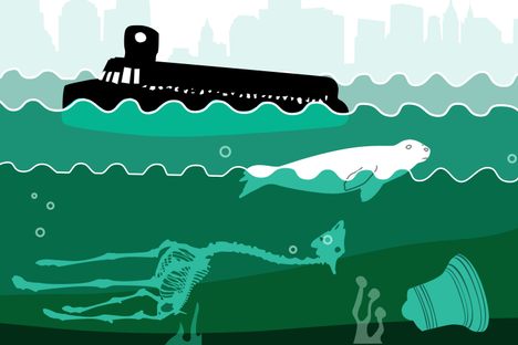 A Graphic Guide to All the Weird Things in New York City's Waterways