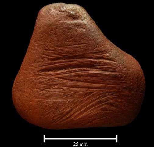 The striated surface on this ochre pebble suggests it was scraped to produce a pigment powder. 