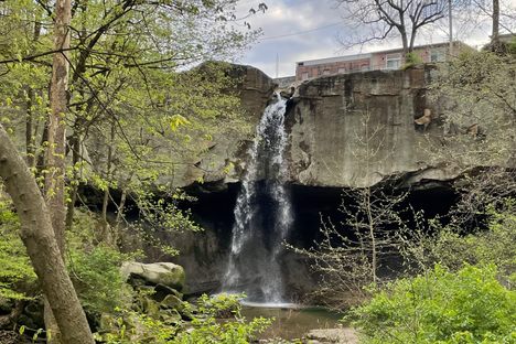 Williamsport Falls