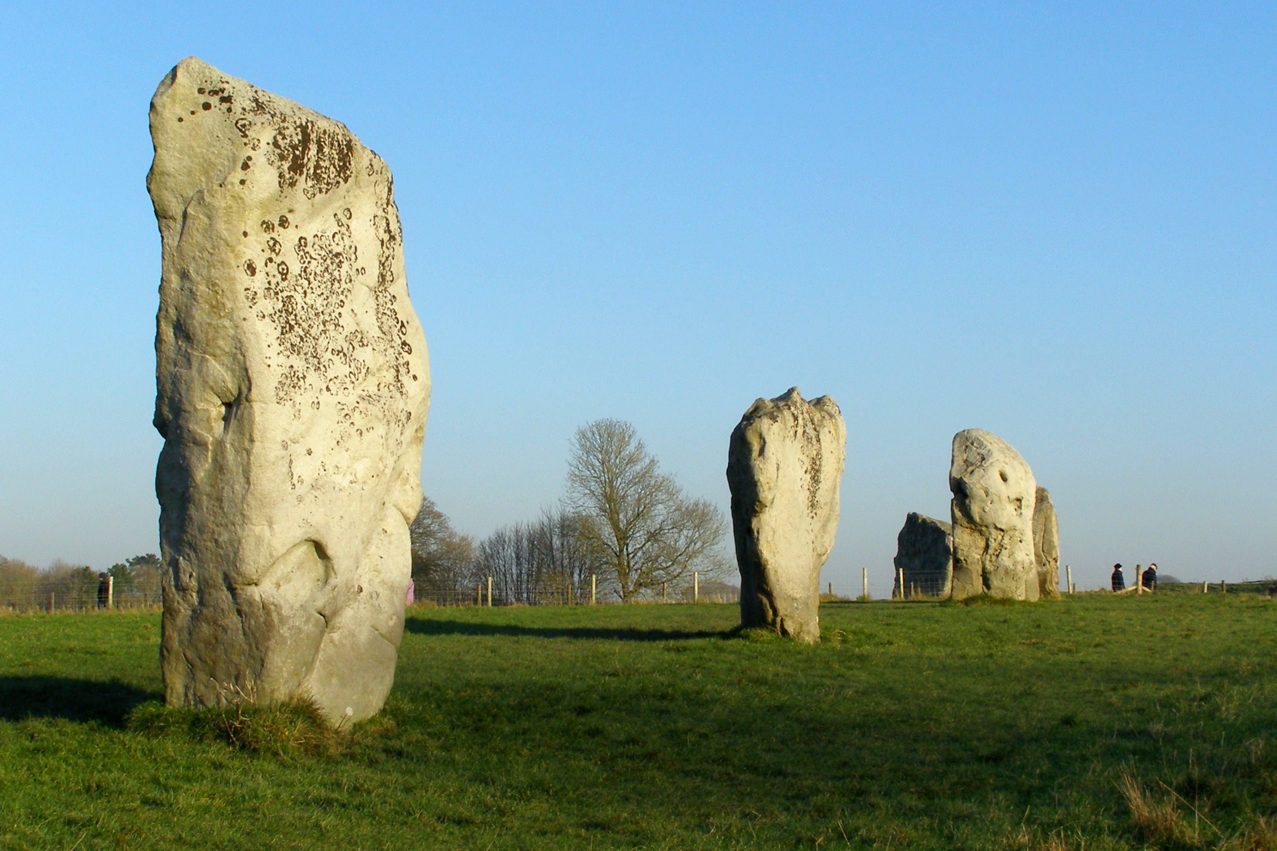 Some of the stones at Avebury.