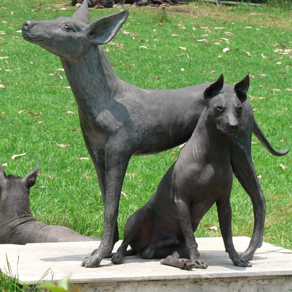The mexican dog sales