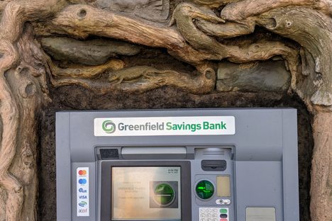 Greenfield Money Tree