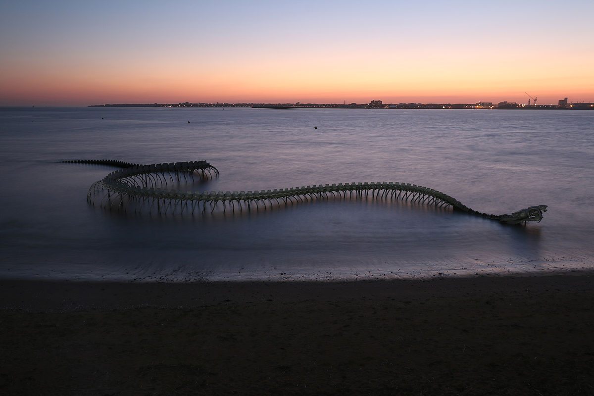Serpent D'Océan
