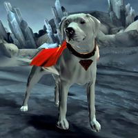 Profile image for Krypto The Superdog