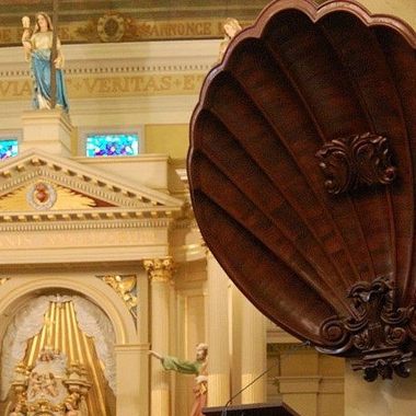 Shell pulpit.