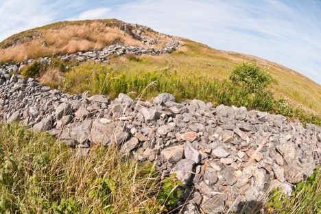 Grates Cove Rock Walls.