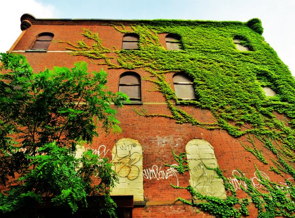 Sunset Park's 68th Precinct in Brooklyn