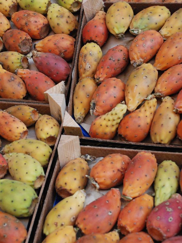 Museo Nazionale delle Paste Alimentari – Rome, Italy - Gastro Obscura