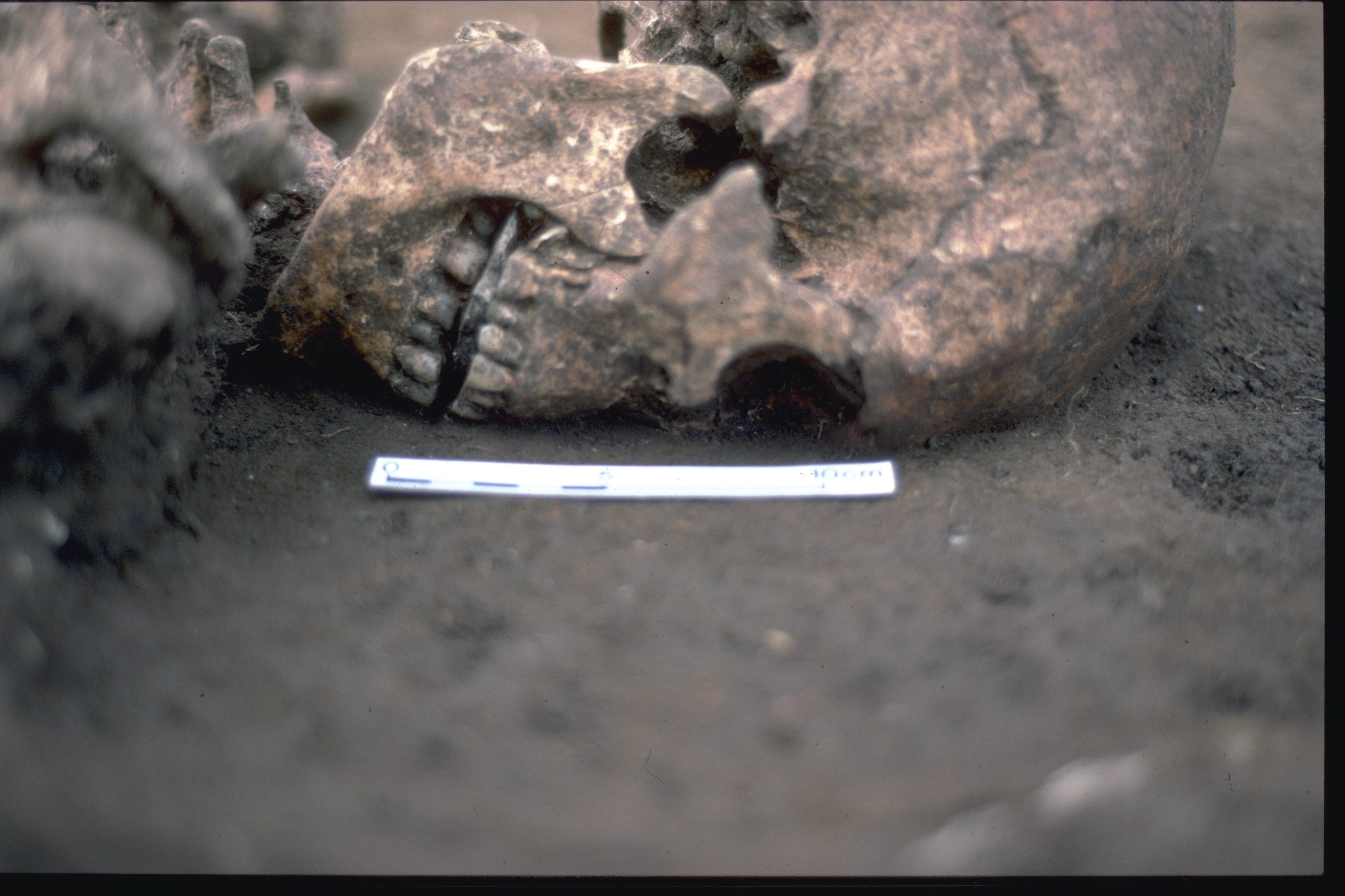 The skeleton was found with a stone in his mouth.