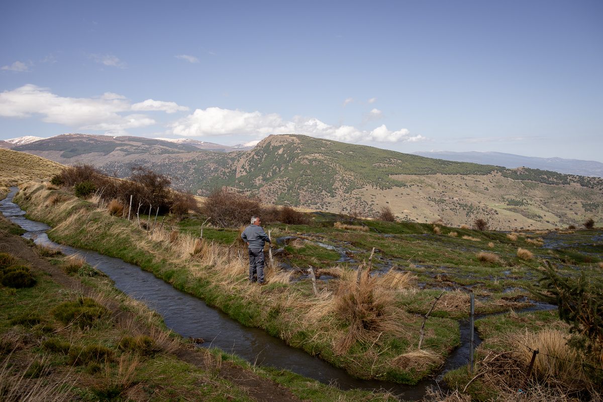 Ortega observes water flowing into a calaero, part of the traditional irrigation system that ensures the availability of water in the dry season.