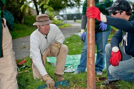 Community groups, or "delegations" to the Boston Tree Party,  planted pairs of apple trees in public spaces around Boston.