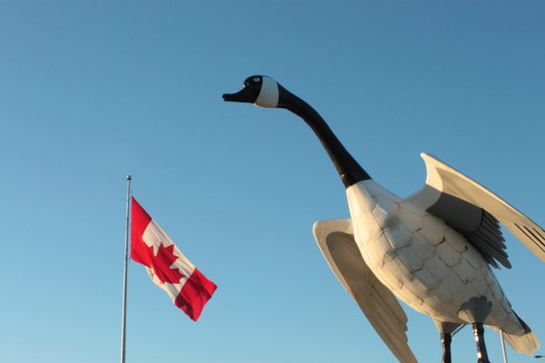 Canada goose web sales 3.0