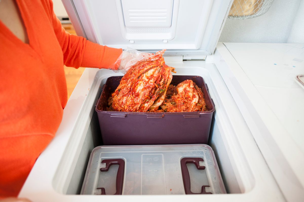 The kimchi is taken to the kimchi fridge, where fermentation occurs. Traditionally, kimchi was stored in jars placed in holes near one's home. Kimchi usually becomes too sour when stored in a conventional refrigerator for about a week, but keeps its qualities in a kimchi fridge.