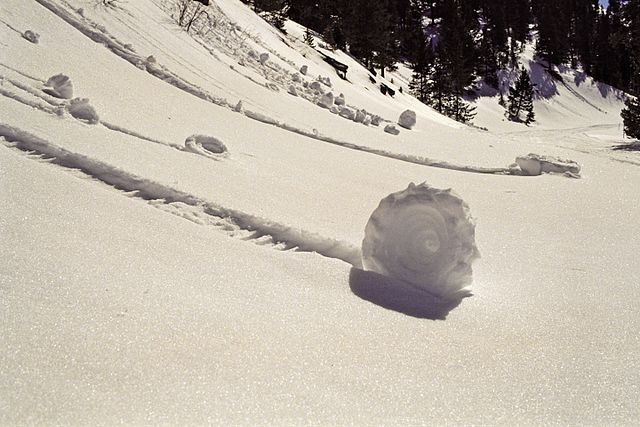 Snow rollers in Colorado in 1994.