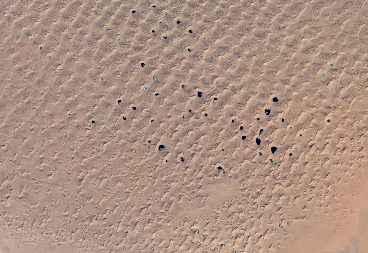 This October 2014 image of dunes and lakes in China's Badain Jaran Desert was made by Jesse Allen, using Landsat data from the U.S. Geological Survey.