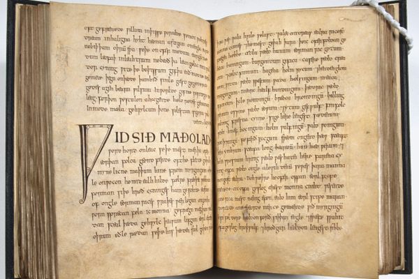 The Exeter Book is the source of 95 of the 96 Old English riddles still known today.