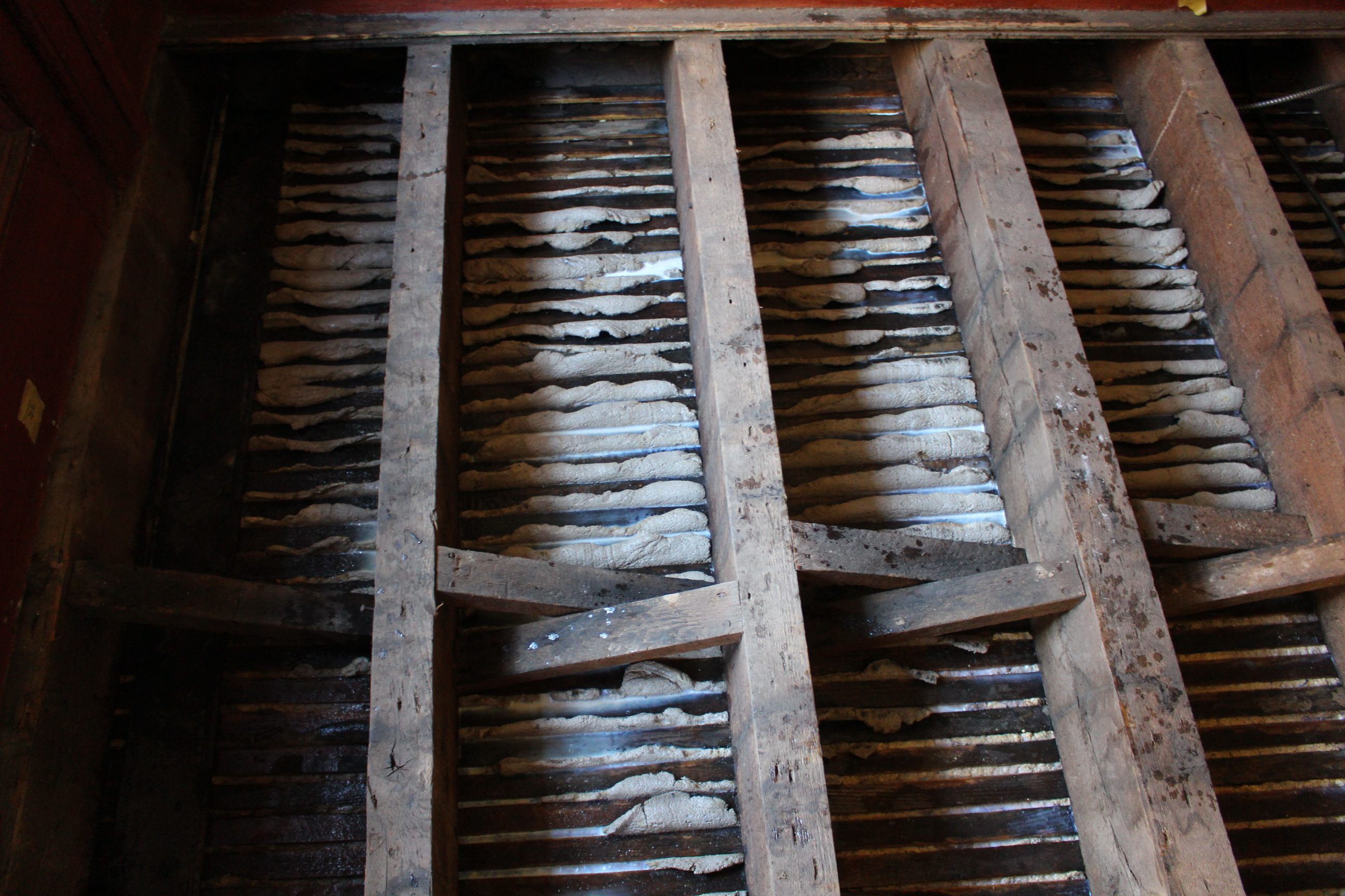 The conservation team wiggled plaster keys to see which ones were loose.