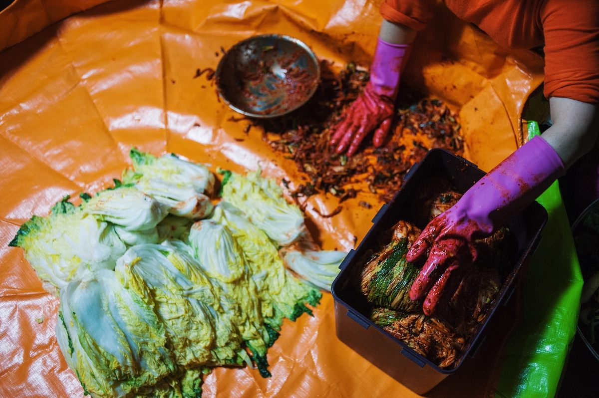 Salted napa cabbage is peeled apart, leaf by leaf, and each crevice stuffed with the paste and daikon mixture.