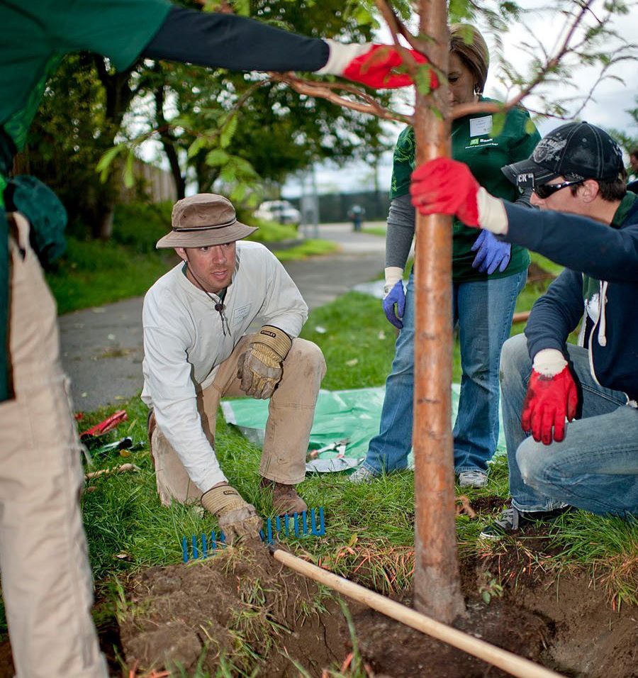 Community groups, or "delegations" to the Boston Tree Party,  planted pairs of apple trees in public spaces around Boston.