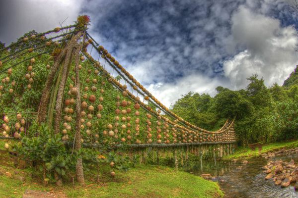 Genius River Bridge