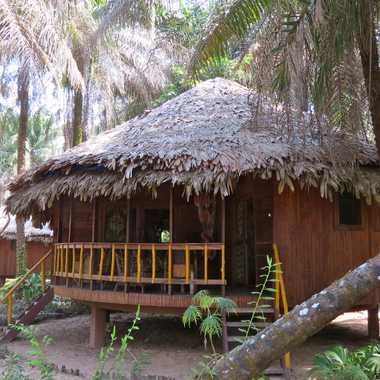 Cabin at Libassa Ecolodge.