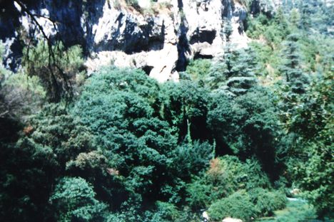 The Sorgue River running below the ruined chateau