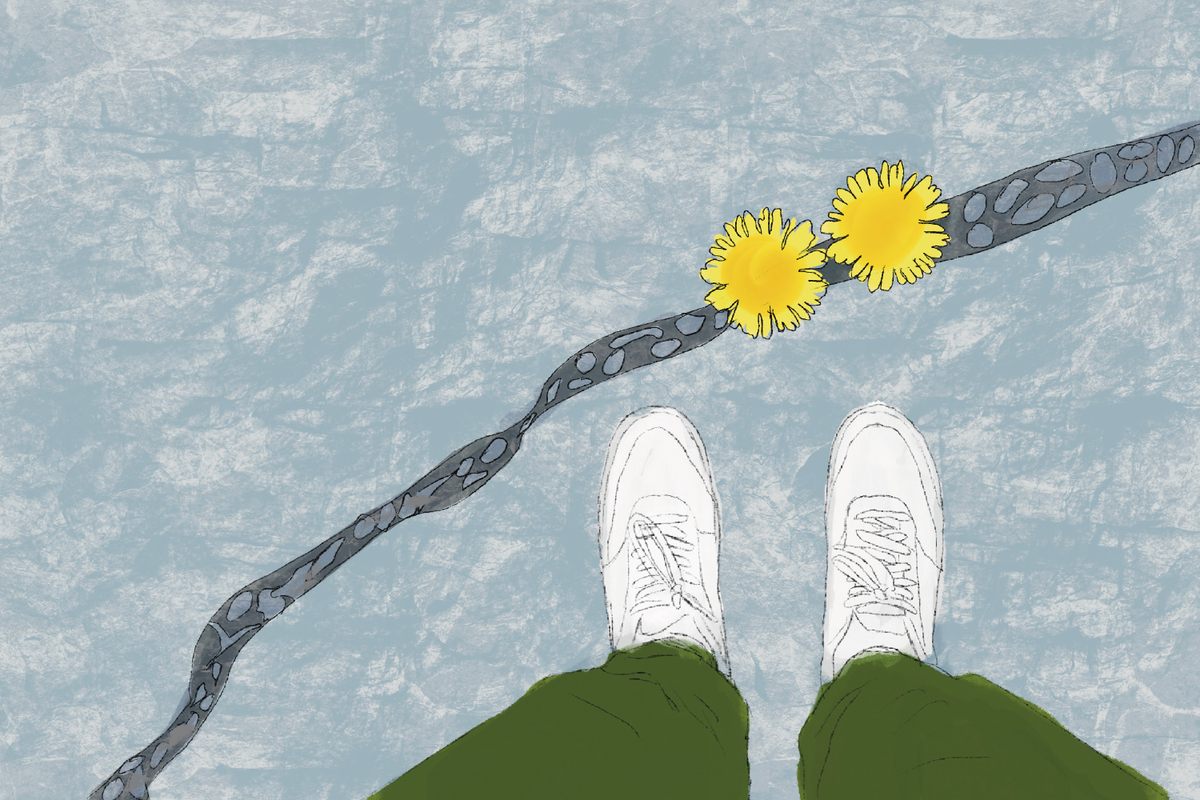 You don't have to venture into the wilderness to reconnect with nature. Spending time in the company of dandelions poking up through a crack in an urban sidewalk can be just as insightful.