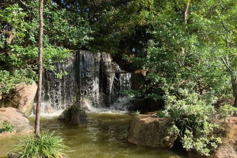 The Morikami Museum and Japanese Gardens