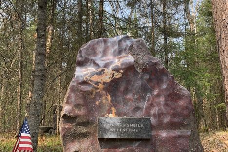 Tributes to Paul and Shiela Wellstone