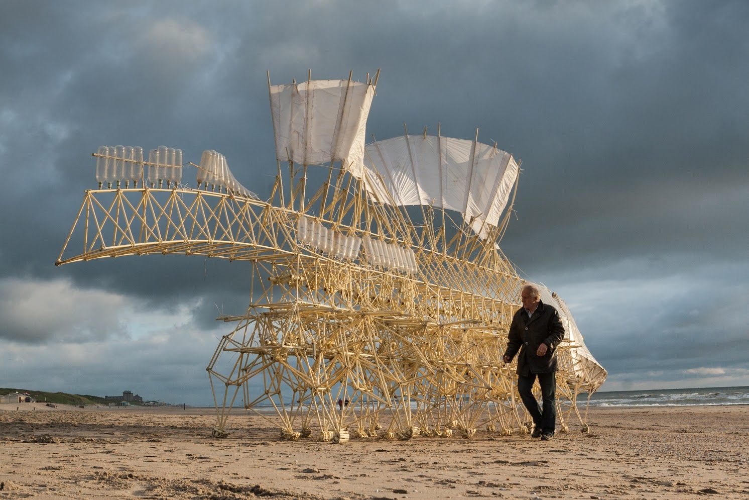 Animaris Umerus on Scheveningen Beach in the Netherlands in 2009. (Photo: Loek van der Klis, courtesy of Theo Jansen)