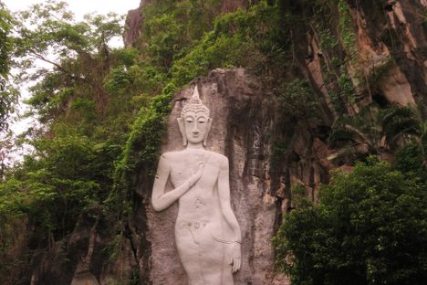 Tu Pu.