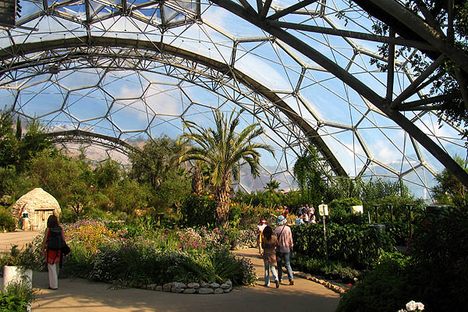 Inside the Mediterranean biome. (Creative Commons)