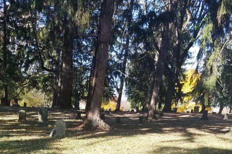 Graves from the 1800s.