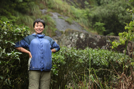 Shunan Teng travels to distant, hard-to-access areas of China to seek out teas.