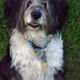 bemacdougall profile photo