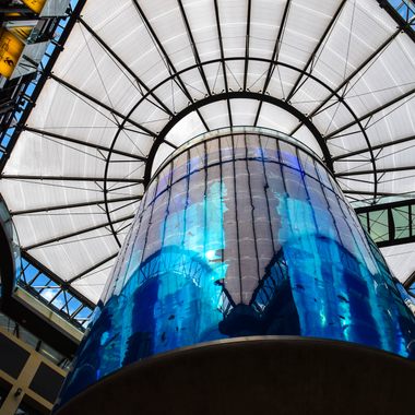 AquaDom