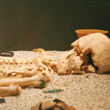 Amesbury Archer in Salisbury Museum