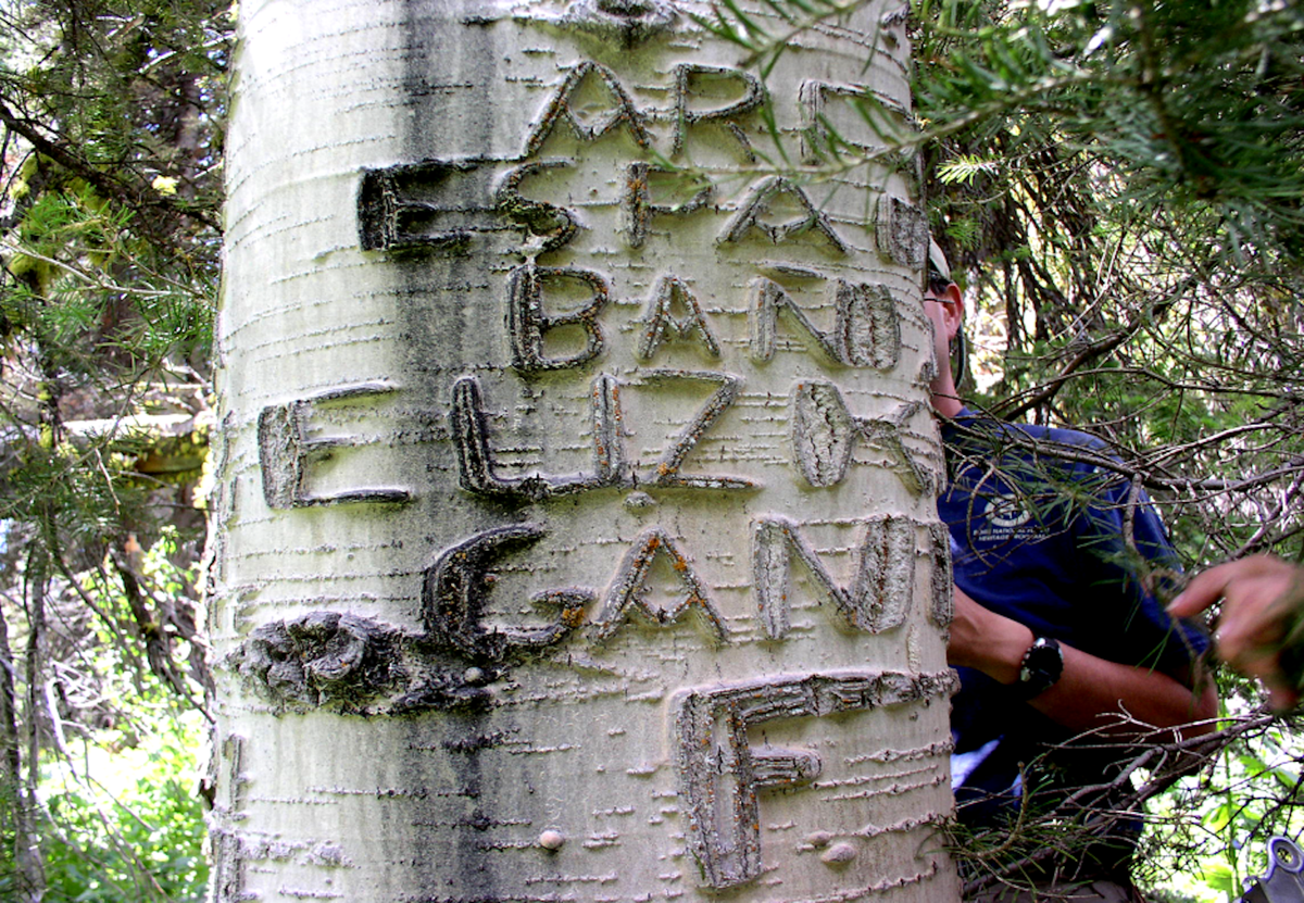 The herders sometimes inscribed political statements like this one: ‘Arriba España baño Euzk[adi] Gain[etik]’ translates to ‘Up with Spain but the Basque Country above it.’ 