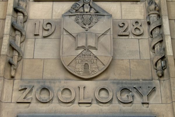 Zoological Roundels