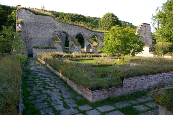 The abbey ruins.