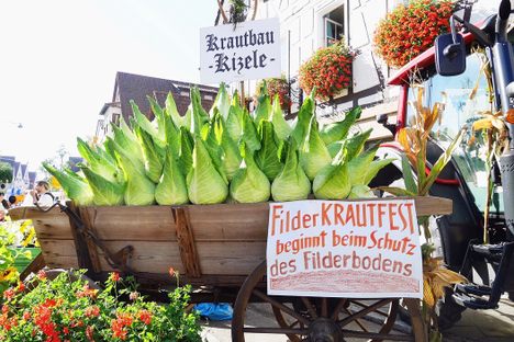 Filderkraut Fest