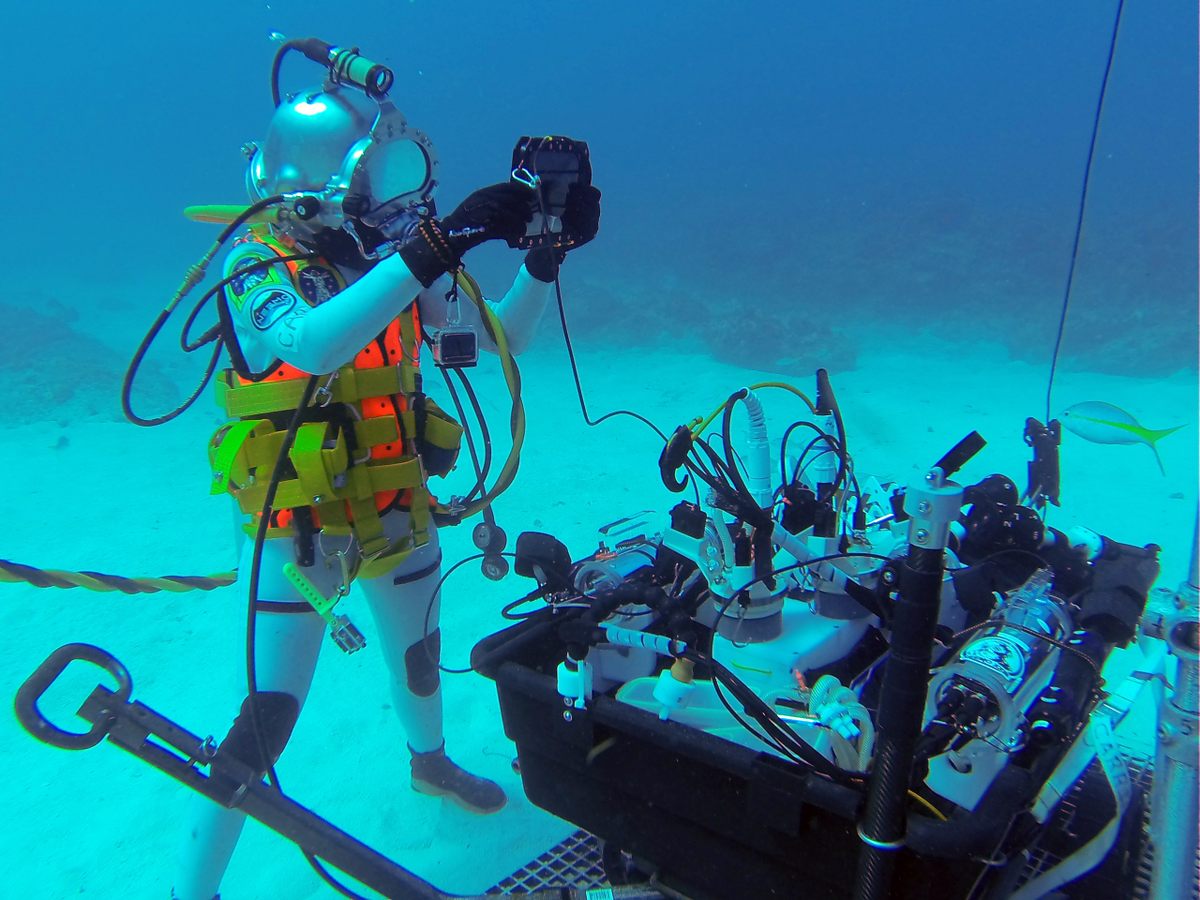 The team also measured respiration and metabolism of marine sponges.