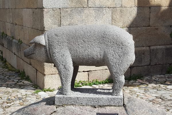 The Statue of St. Anthony’s Pig