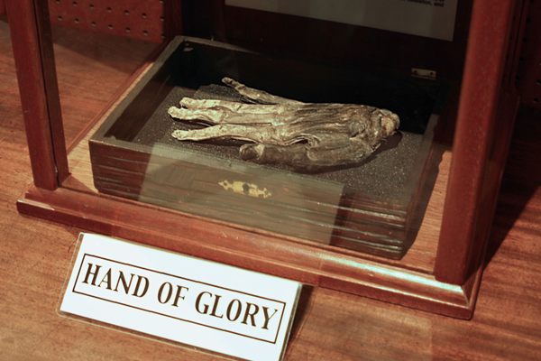The Hand of Glory in the Whitby Museum. 