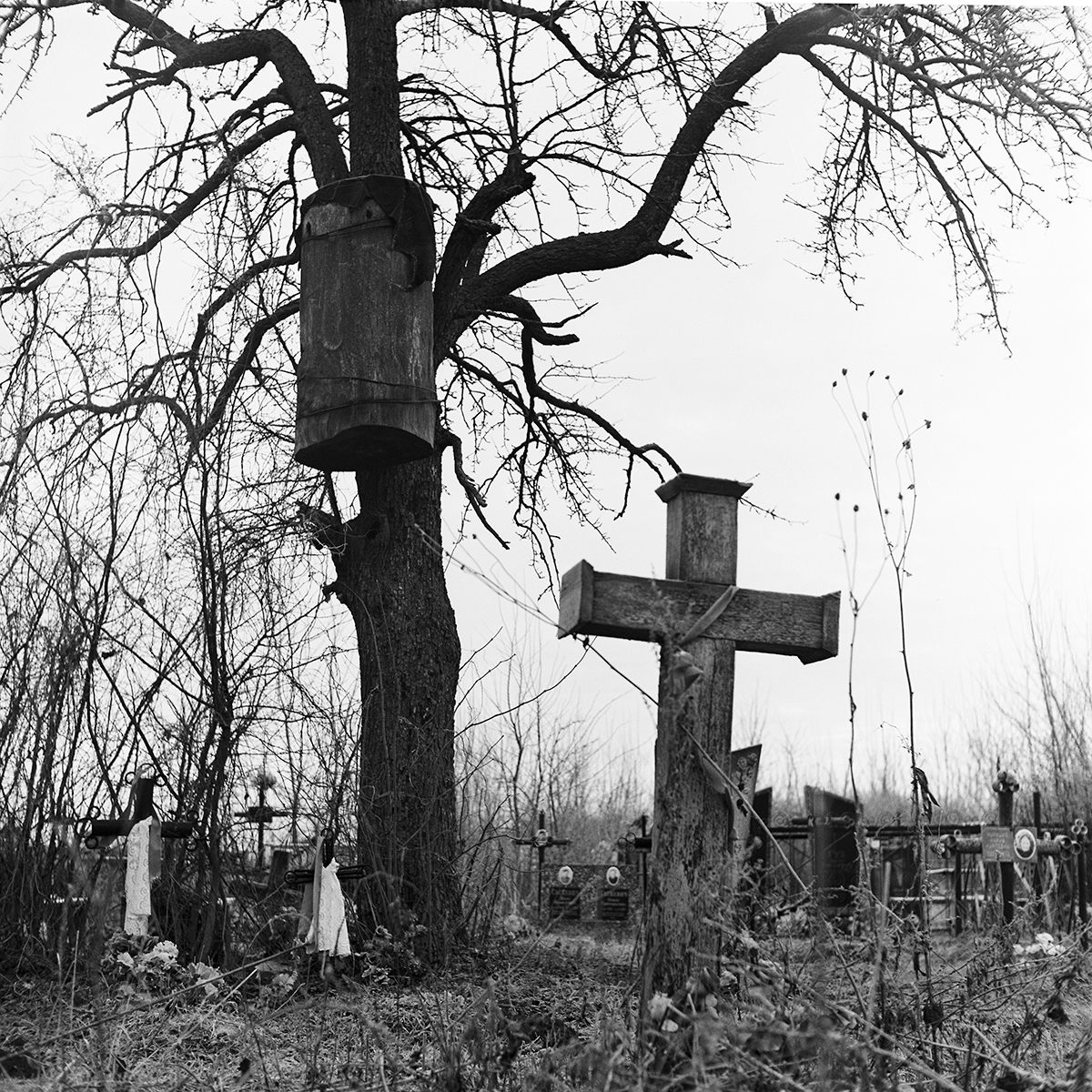 A beehive on a tree in a rural cemetery. Local belief says the bees are sent by God to help people heal, as they collect nectar from flowers that grow on ancestral graves.