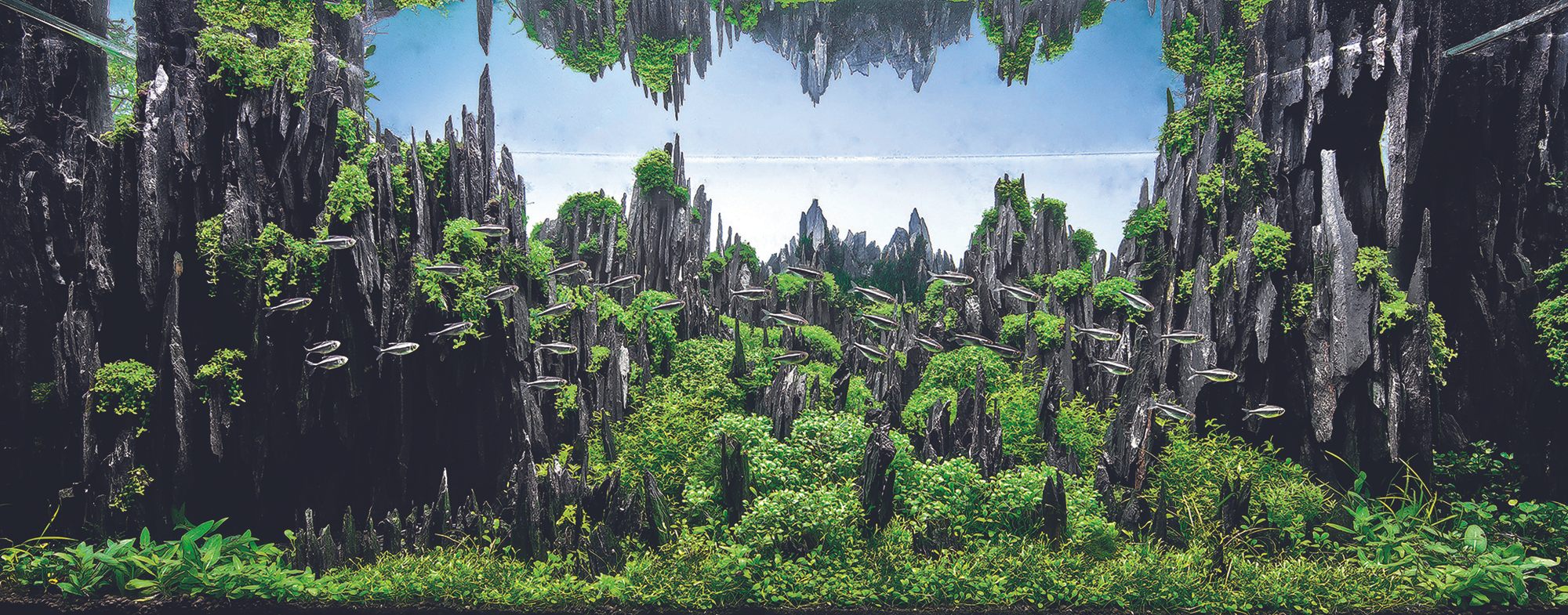 Michael Leroy's "The Stone Forest" uses reflection to design advantage, and took 23rd.