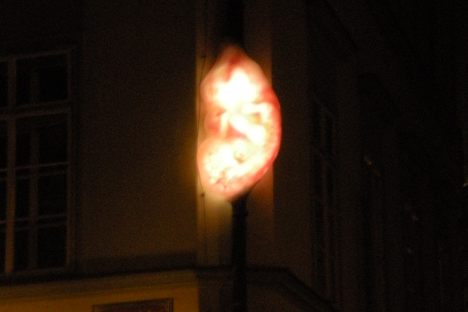 The fetus at night.