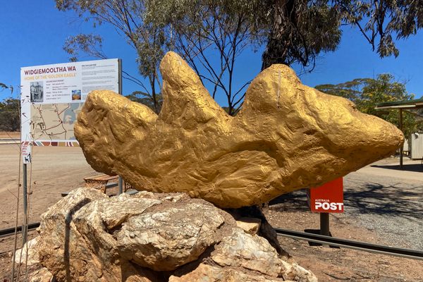 Widgiemooltha Golden Eagle Nugget
